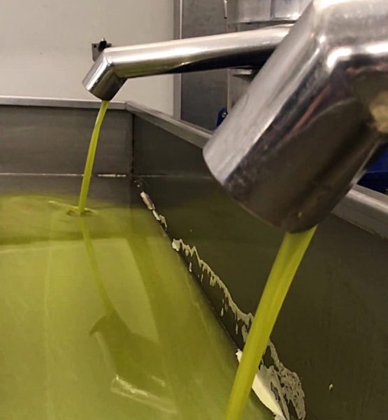 Extra Virgin Olive Oil - EVOO in Australia from Greece