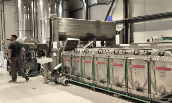 Olive oil production process