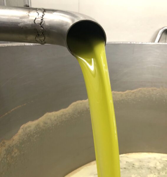 Organic Extra Virgin Olive Oil in Bulk Wholesale